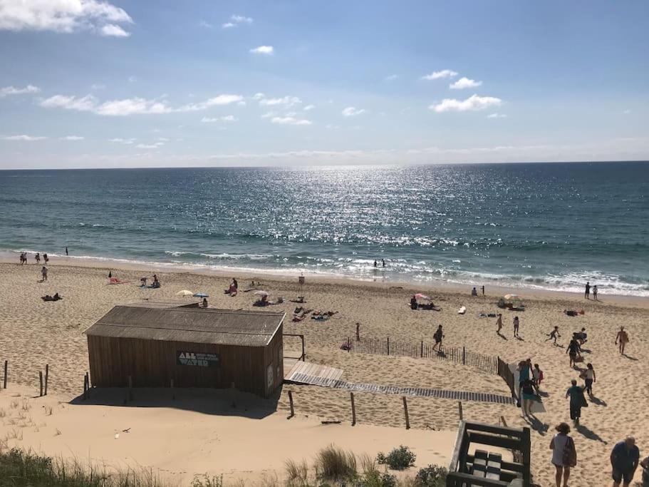 Au Calme A 400 M De La Appartement